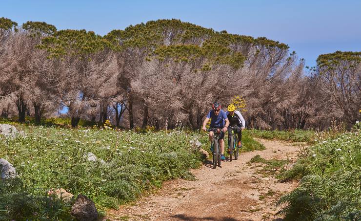 Ciclisti in bici in Sicilia