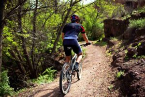 Mountain bike economiche