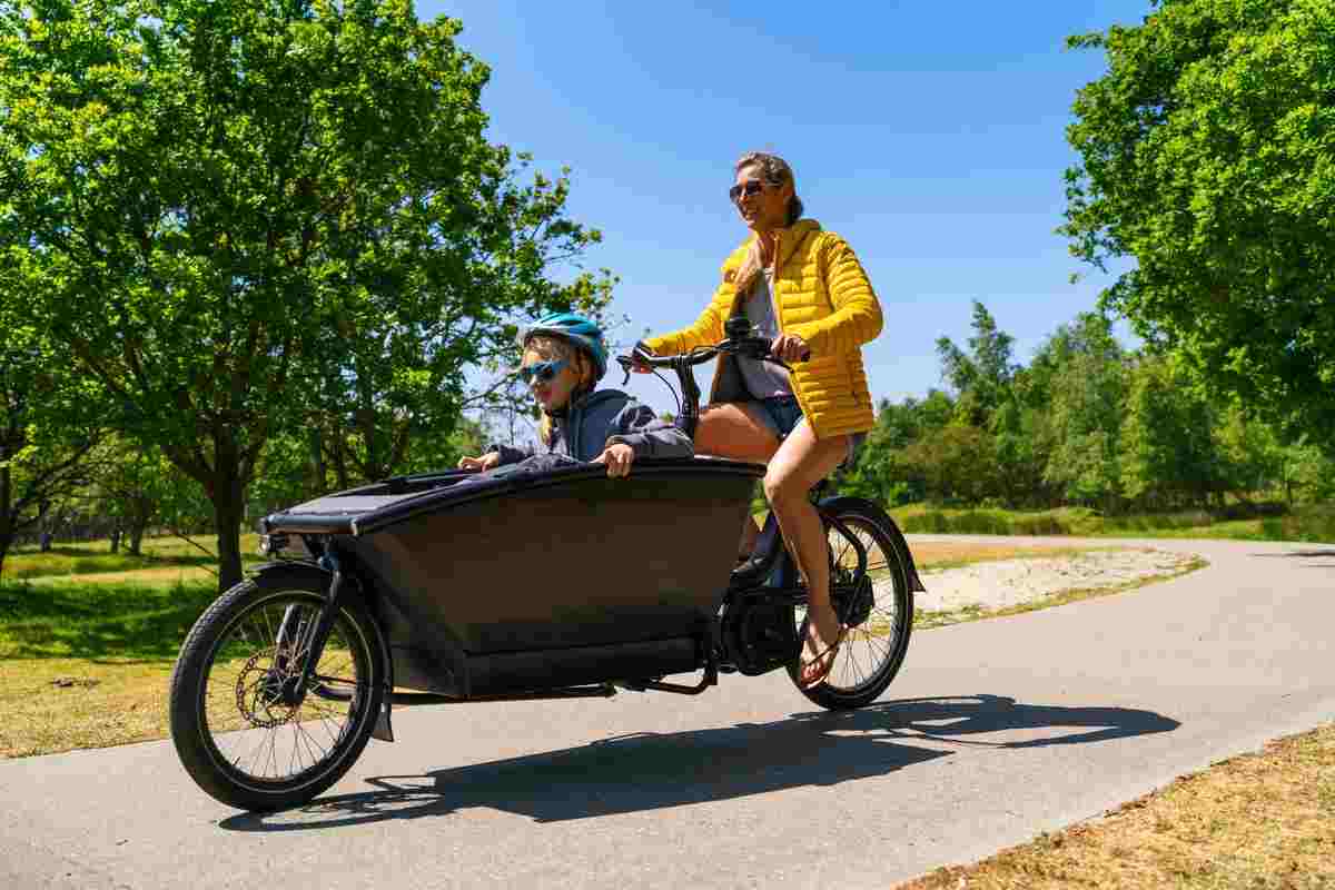 Cargo ebike