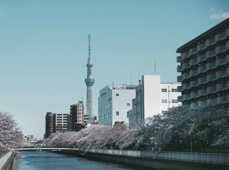 La città di Tokyo - fonte Pexels - suipedali.it