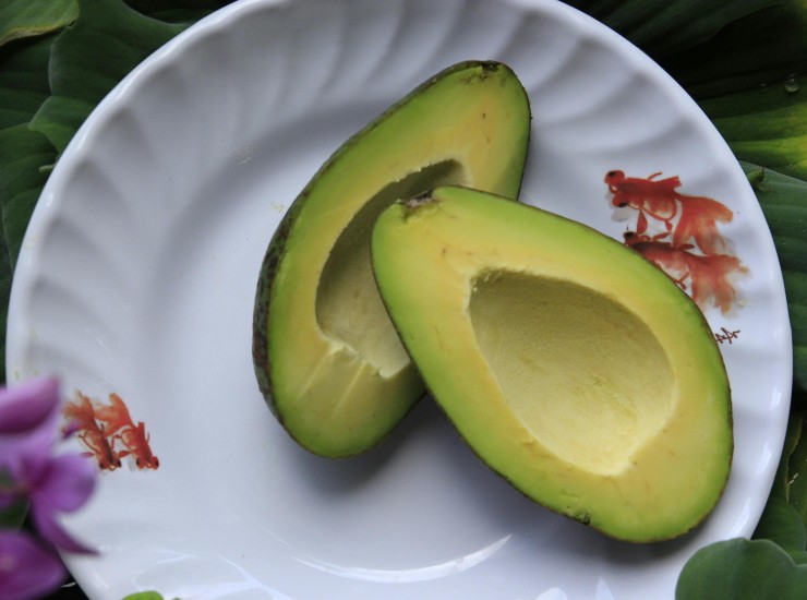 Come mangiare l'avocado per abbassare il colesterolo - fonte Pexels - suipedali.it